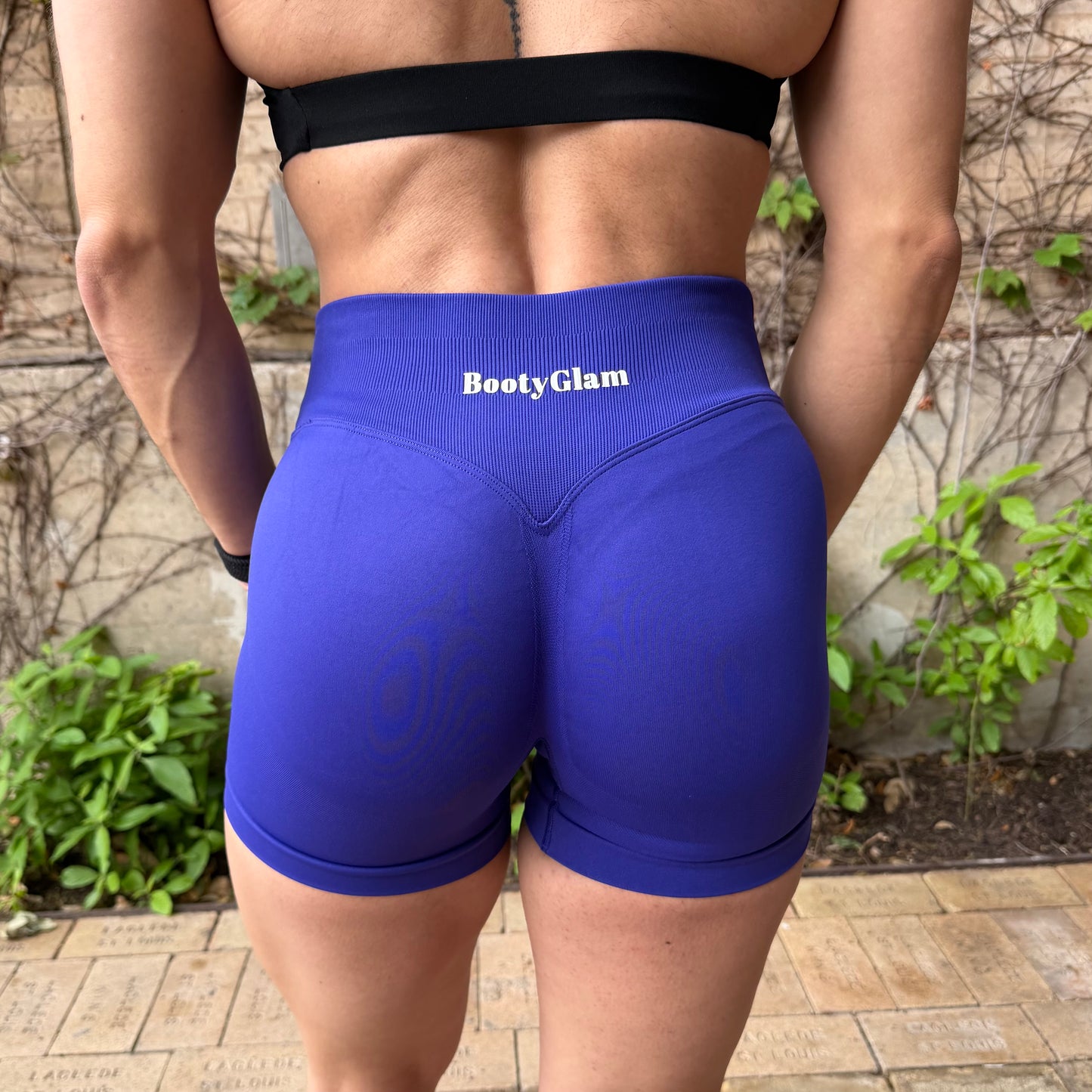 Squat Proof Seamless Short